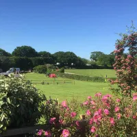 leadstone-camping-dawlish-ubmuy