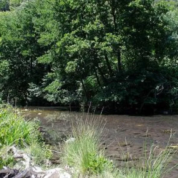 camping-le-mdival-ardche-qsyp0
