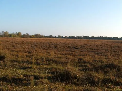camping-strandheem-marum-klbhl