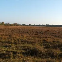 camping-strandheem-marum-klbhl