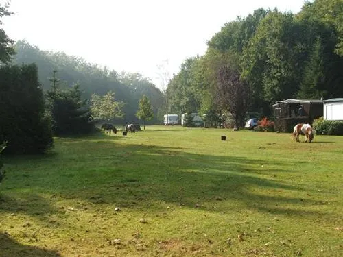 camping-strandheem-marum-vqj0y