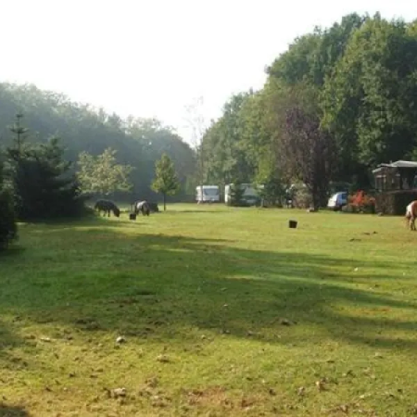 camping-strandheem-marum-vqj0y