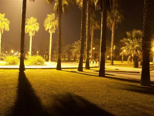 camping-playa-de-poniente-motril-t7zni