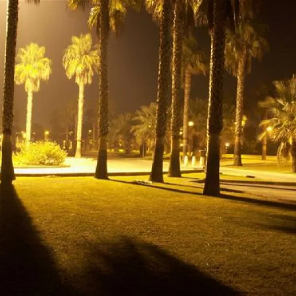Camping Playa de Poniente