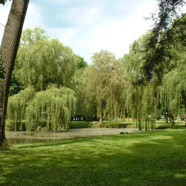parc-naturel-de-week-end-cires-ls-mello-j4upm