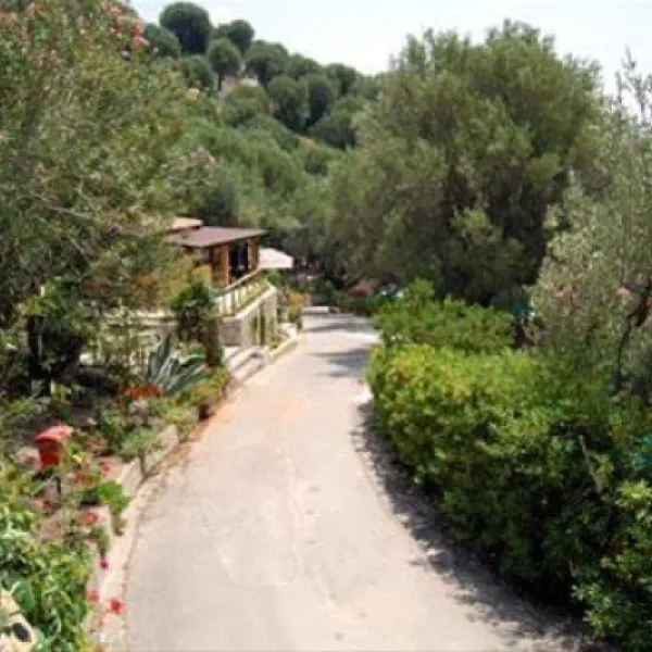 campingbaiadelsilenzio-palinuro-8urm5