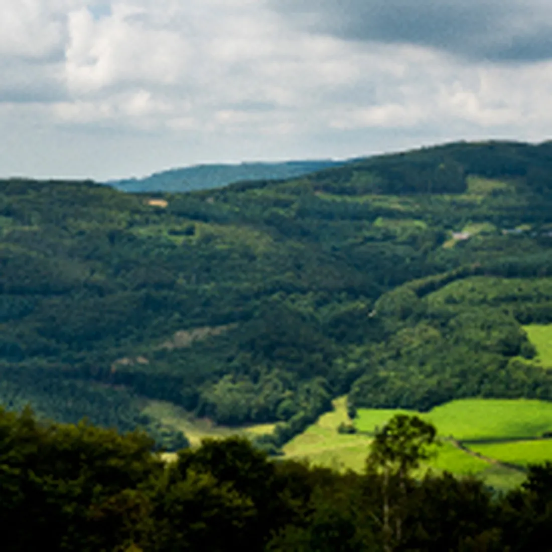 camping-naturiste-domaine-de-la-gagere-luzy-csvgn