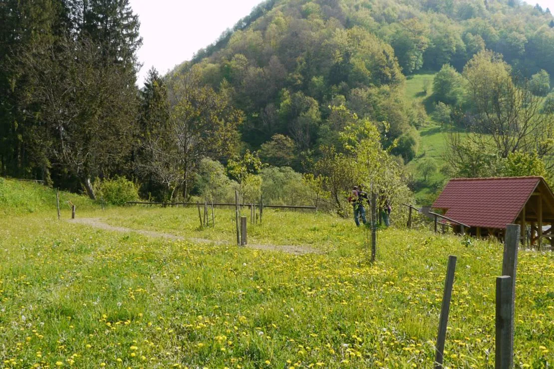 farm-camping-zelinc-slovenia-cerkno-0m1ul