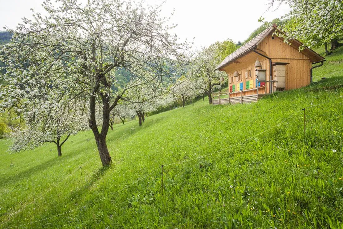 farm-camping-zelinc-slovenia-cerkno-au5op