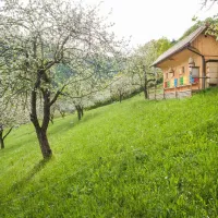 farm-camping-zelinc-slovenia-cerkno-au5op