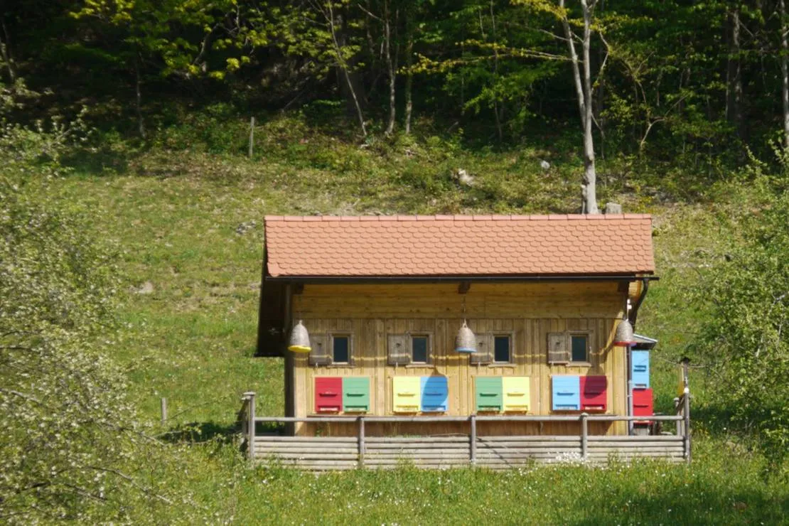 farm-camping-zelinc-slovenia-cerkno-fpovh