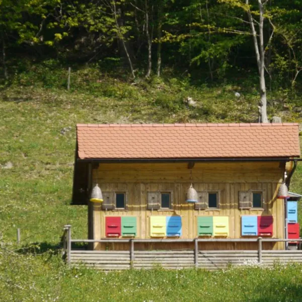 farm-camping-zelinc-slovenia-cerkno-fpovh