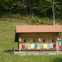 farm-camping-zelinc-slovenia-cerkno-fpovh