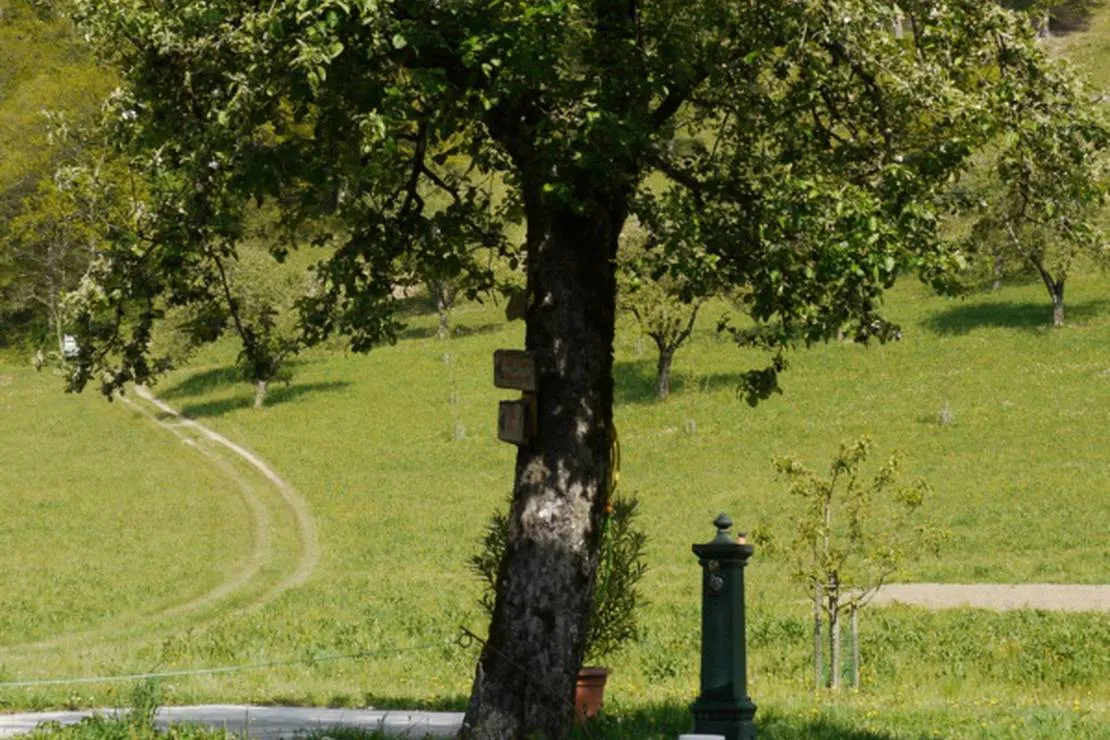 farm-camping-zelinc-slovenia-cerkno-fxa0d