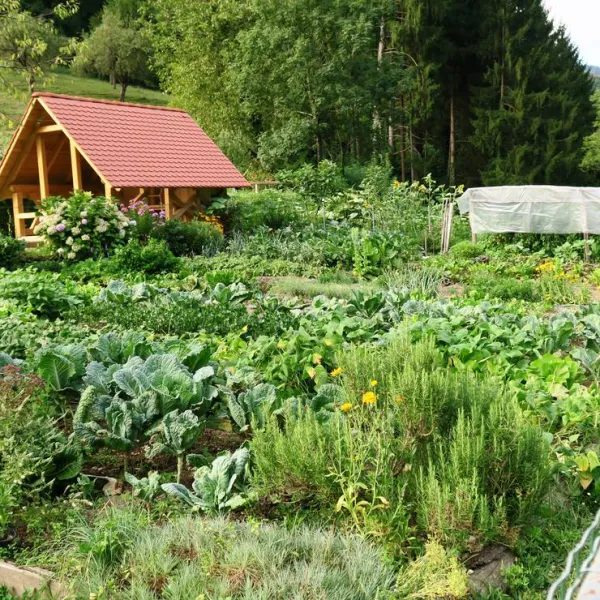 farm-camping-zelinc-slovenia-cerkno-r2glr