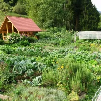 farm-camping-zelinc-slovenia-cerkno-r2glr