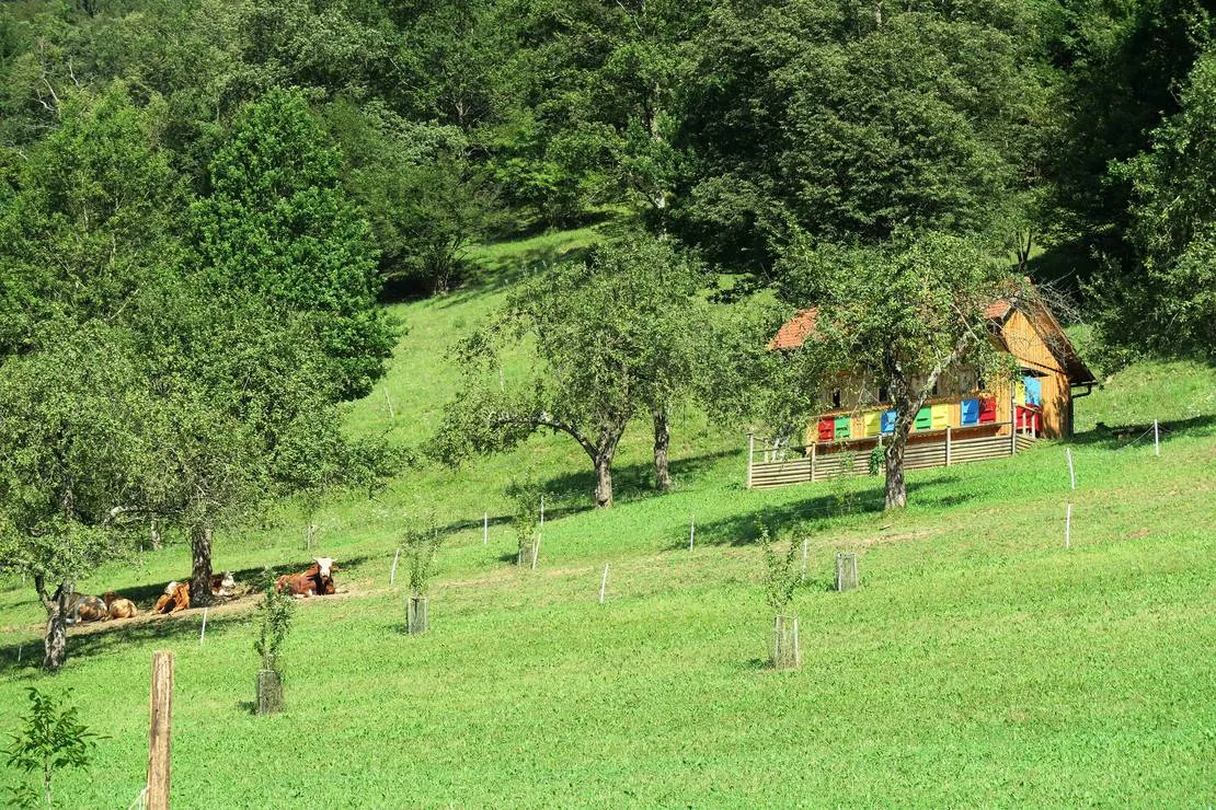 farm-camping-zelinc-slovenia-cerkno-tdhsb