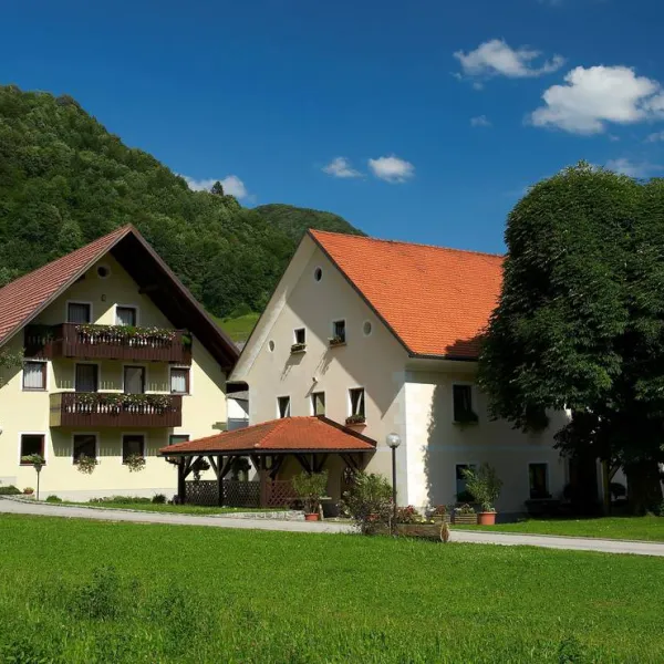 Farm camping Zelinc Slovenia