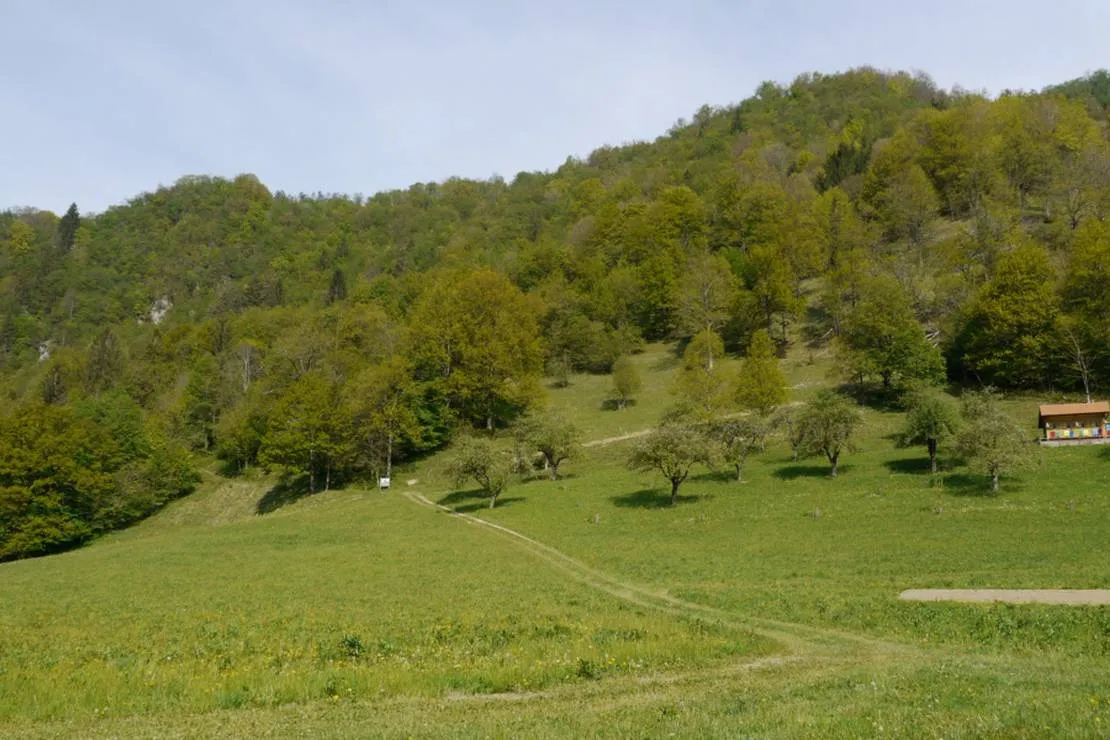 farm-camping-zelinc-slovenia-cerkno-whobt