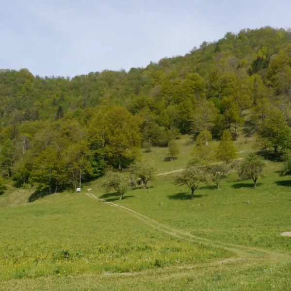 farm-camping-zelinc-slovenia-cerkno-whobt