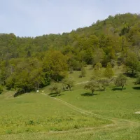 farm-camping-zelinc-slovenia-cerkno-whobt
