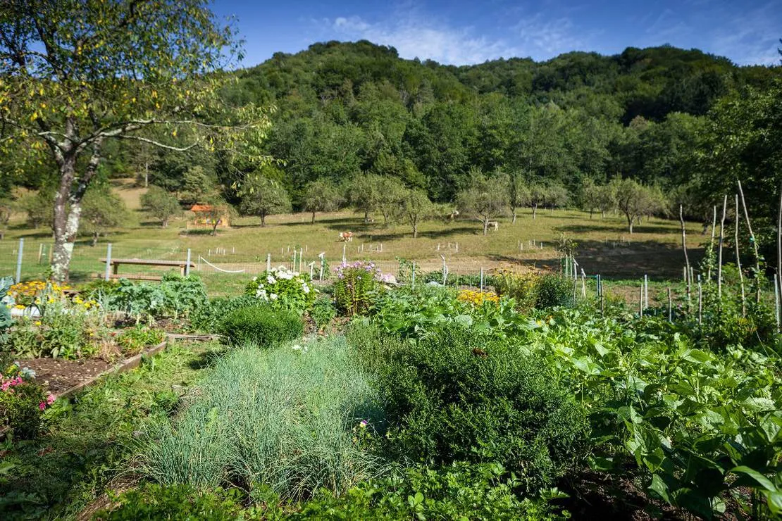 farm-camping-zelinc-slovenia-cerkno-zfjq0