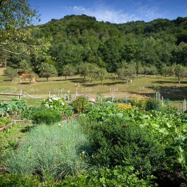 farm-camping-zelinc-slovenia-cerkno-zfjq0