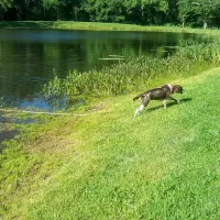 Acorn Acres Campground