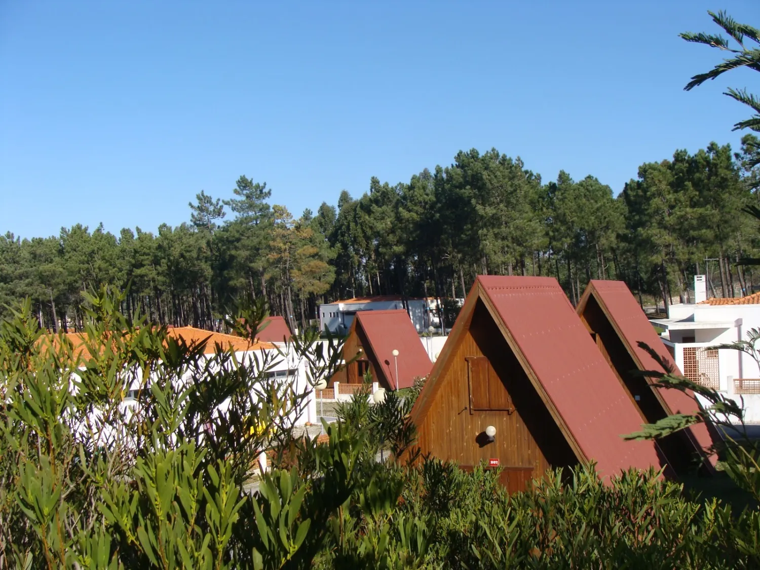 parque-de-campismo-luso-luso-doyme