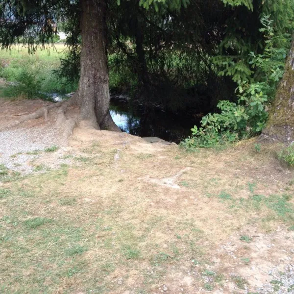 camping-kinzigtal-steinach-bgaeb