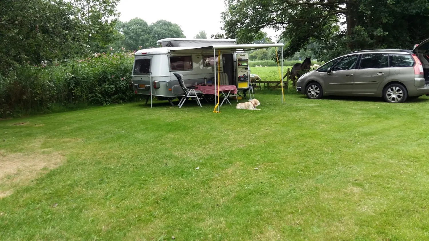 boerderijcamping-old-huystra-state-morra-pa0qn