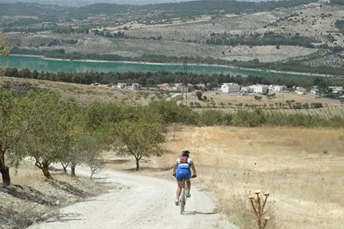 camping-los-bermejales-arenas-del-rey-6vcuv