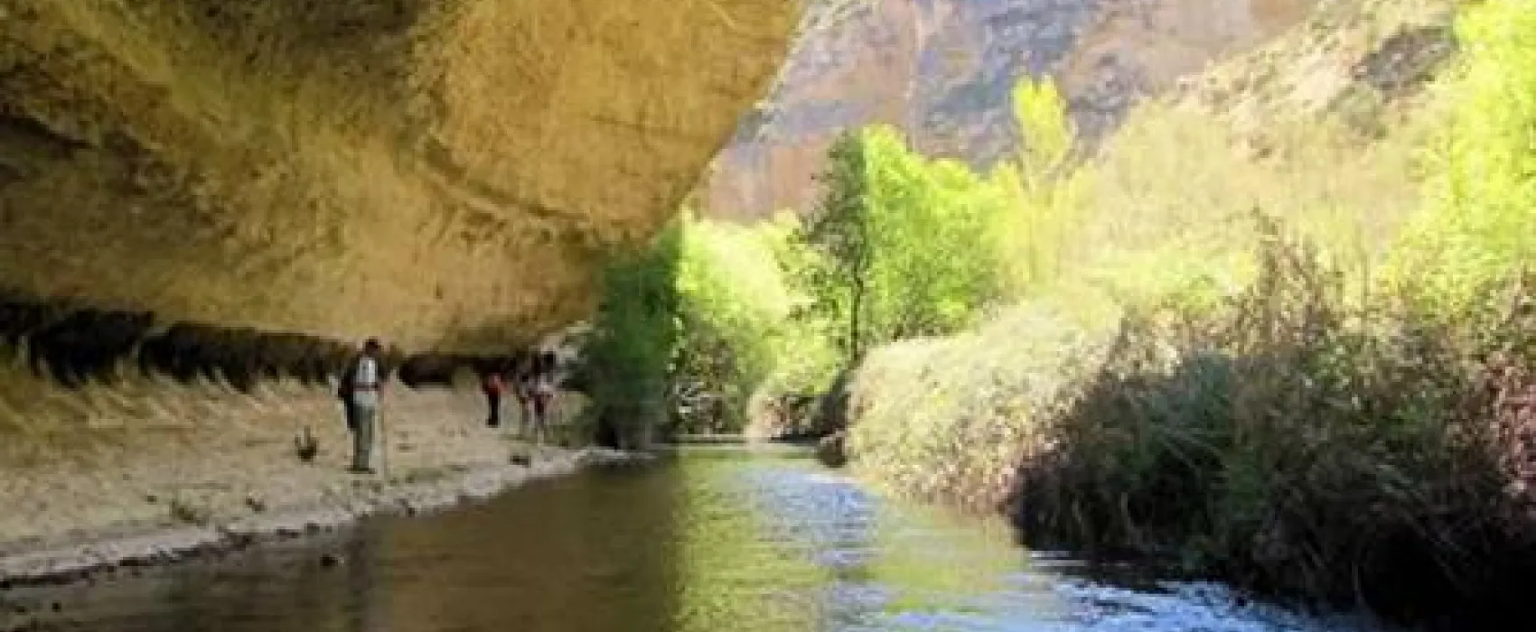 Camping los Bermejales