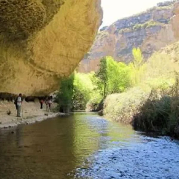 camping-los-bermejales-arenas-del-rey-pbvig