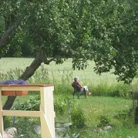 hasslebo-gsthem-kumlinge-ww8nj