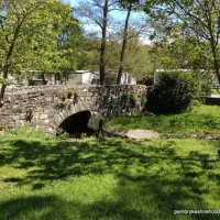 llwyngwair-manor-holiday-park-newport-6pj5r