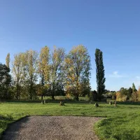 cotswolds-camping-at-holycombe-shipston-on-stour-ao25f