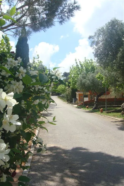 camping-el-sur-ronda-af6hr