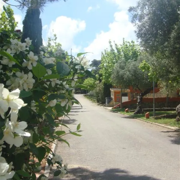 camping-el-sur-ronda-af6hr