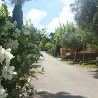 camping-el-sur-ronda-af6hr