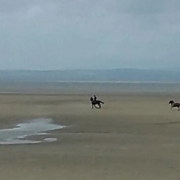 venture-caravan-park-morecambe-rw5ej