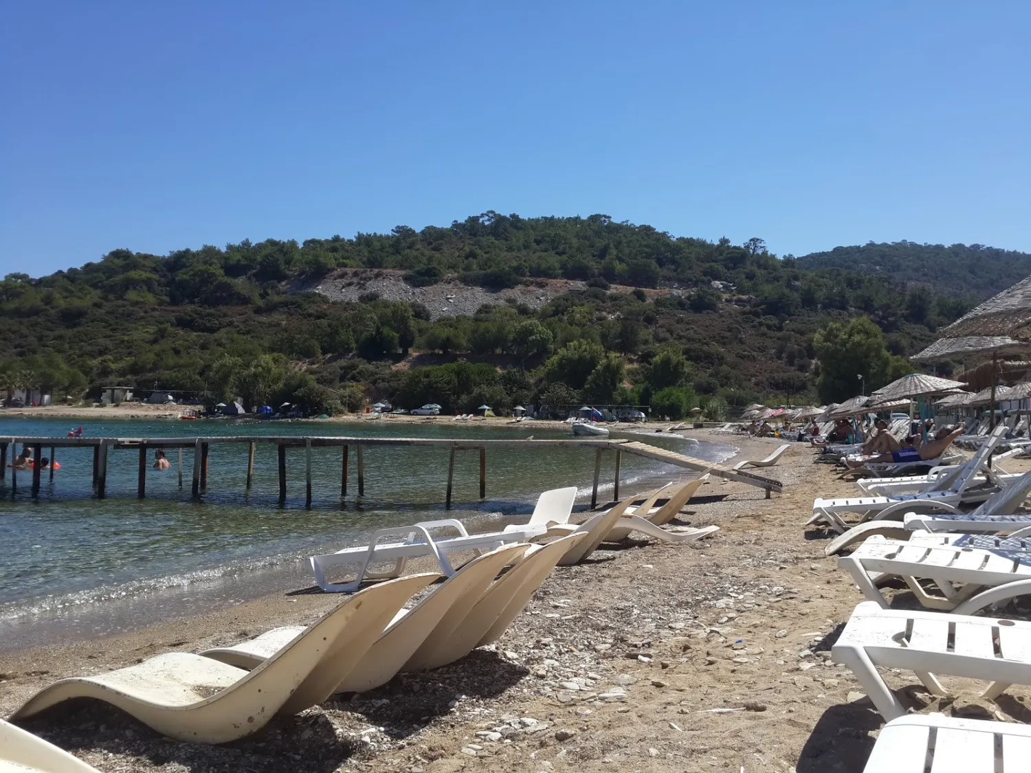 camping-sazlica-plajlari-yeni-foca-trmqa