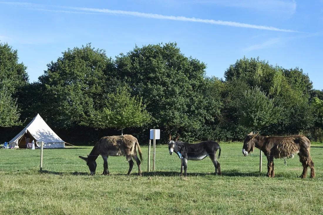 camping-la-ferme-croas-men-plouigneau-pioex