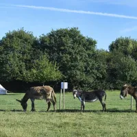 camping-la-ferme-croas-men-plouigneau-pioex