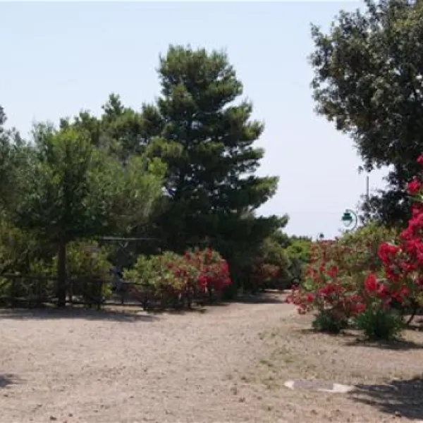 camping-village-tesonis-tertenia-ippdw