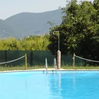 agricampeggio-alba-baone-lcgql