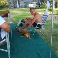 andriake-camping-demre-demre-oan1i