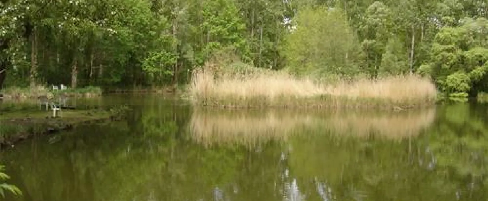 Le Cattiaux Camping