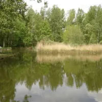 le-cattiaux-camping-courdimanche-sur-essonne-2jyqr