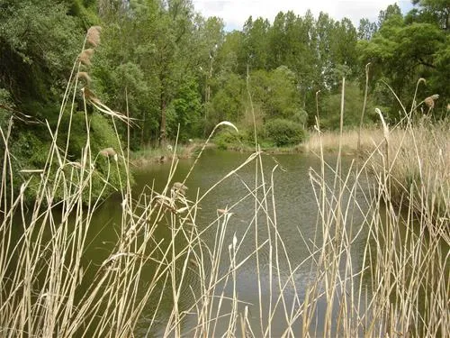 le-cattiaux-camping-courdimanche-sur-essonne-ljney